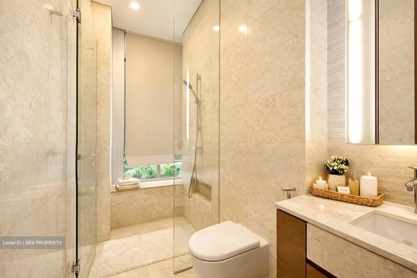 Gramercy Park (D10), Condominium #556423001
